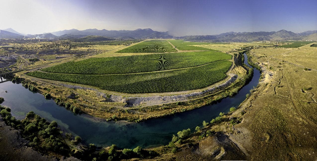 Montenegrin wine tour