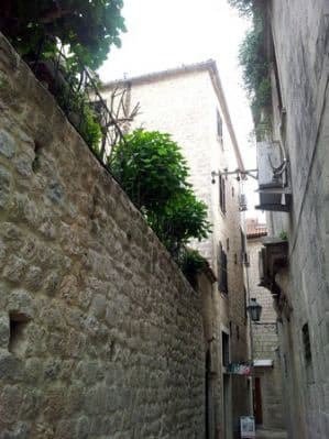 2012-05-12 III sprat.JPG