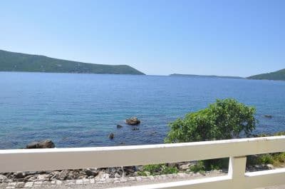 Winter2012. 016_1.jpg