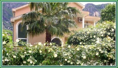 Apartmani Carine.jpg