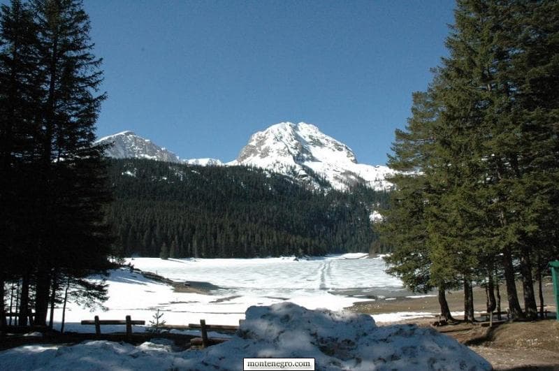 Лето полако долази на Дурмитор