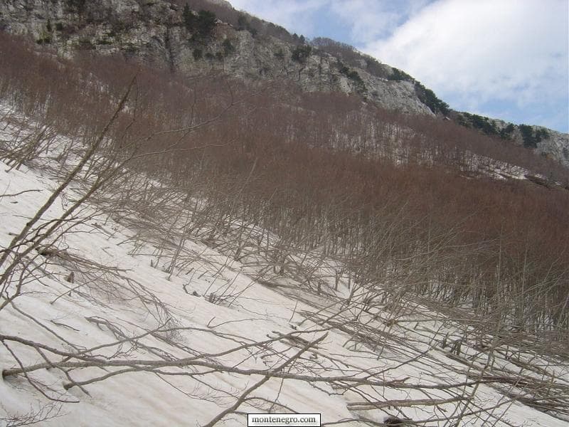 Putevima Starih Crnogoraca