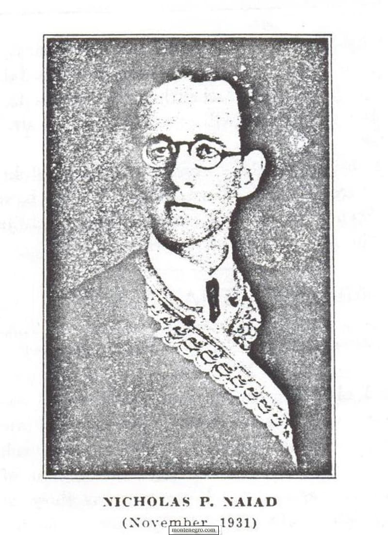 Никола Петановиц