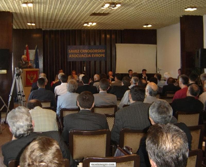 Montenegro.com на собрании SCAE - инициатива встреч молодёжи диаспоры