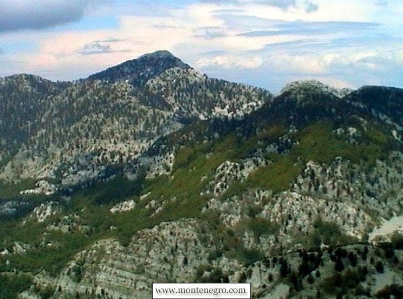 Орјенски маратон, Регата Младости