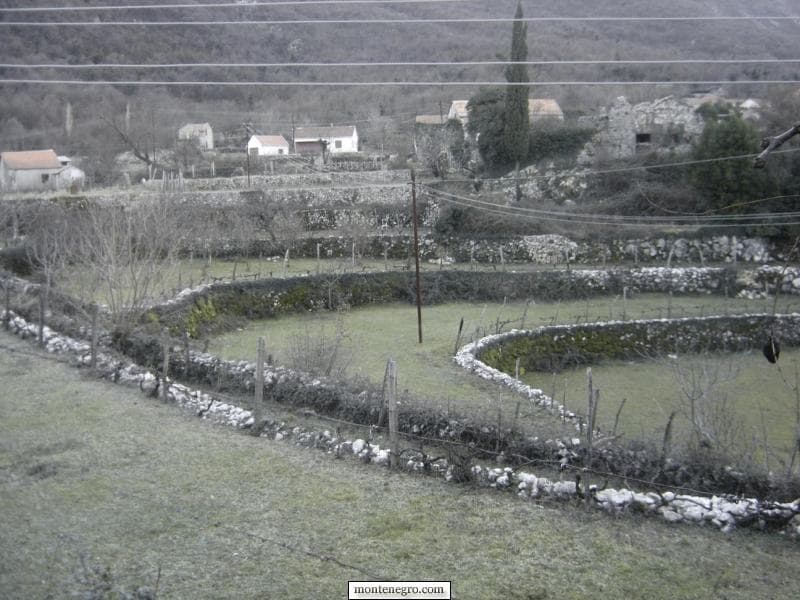 Традиционална црногорска вина