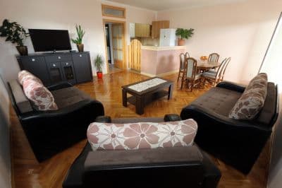 living_room_apartments_pax_herceg_novi_montenegro.jpg