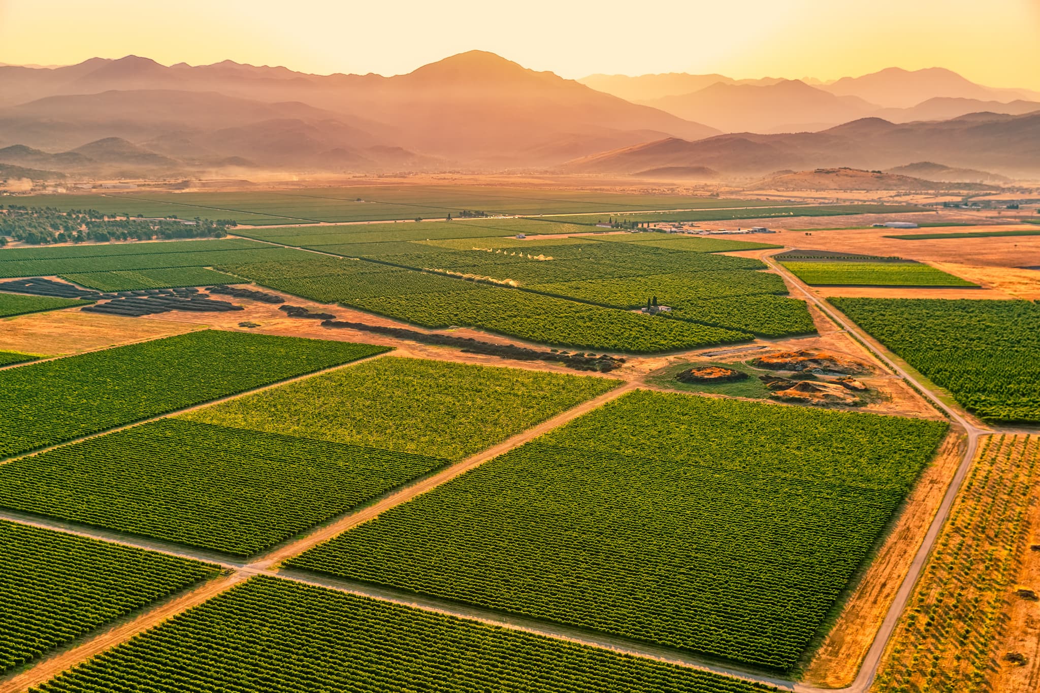 Montenegro Vinska Tura