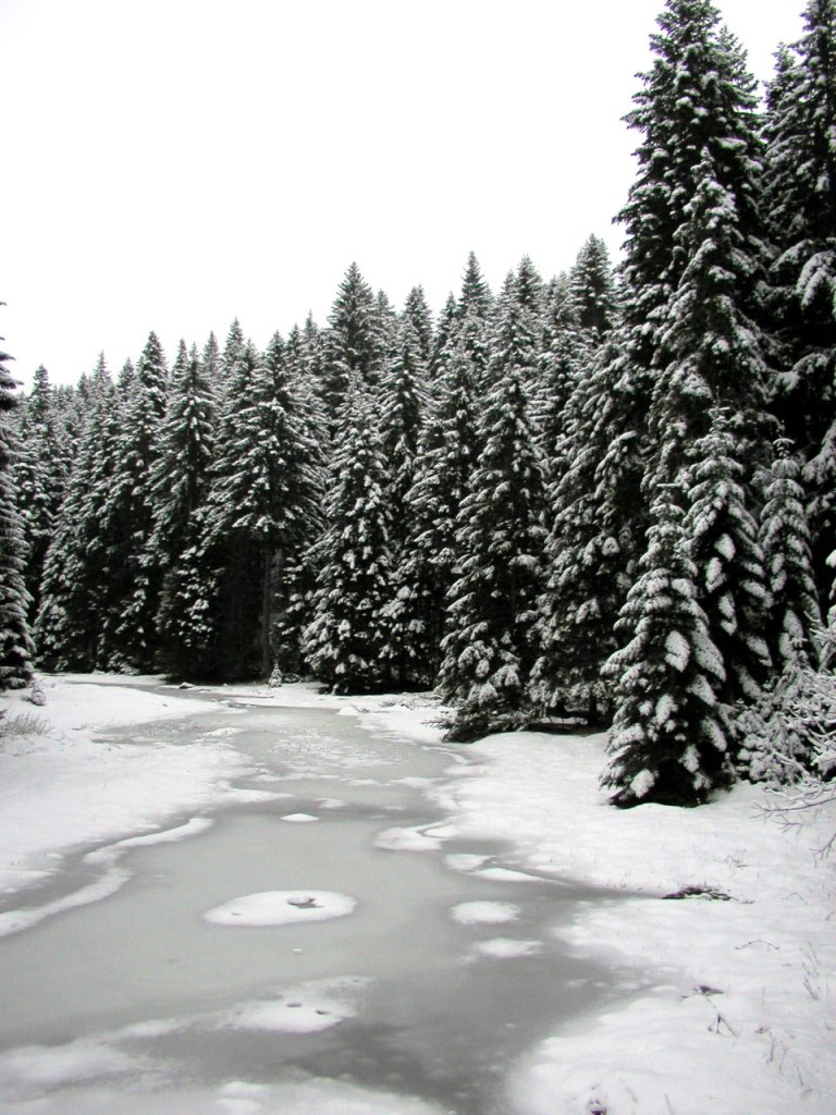 Durmitor nova godina