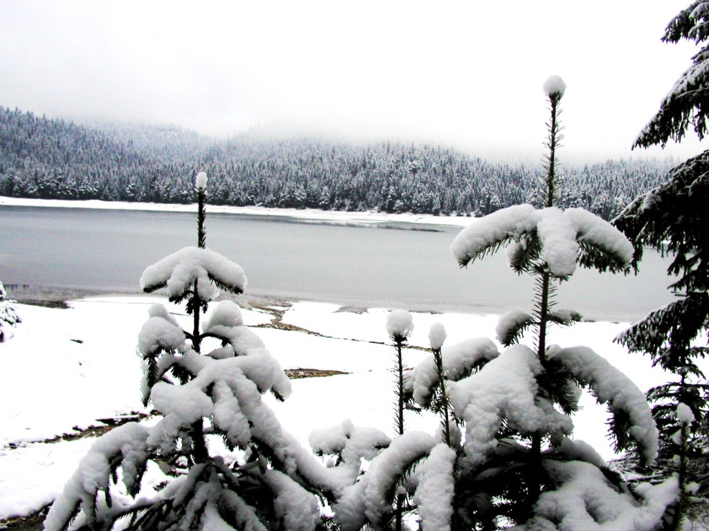 Durmitor zima