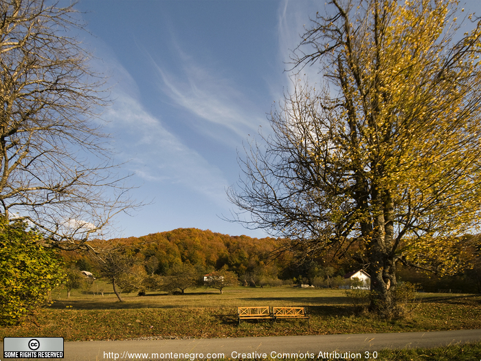 700_IST_3359_Kolasin_010