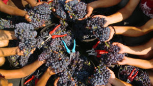 vlcsnap-2011-11-01-14h56m55s199