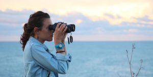 Dolphinwatch-1920x967