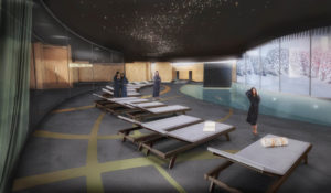 7-spa-veliki-dec-1A059100F-FB1B-EF62-151B-73747F85FDAF[1]