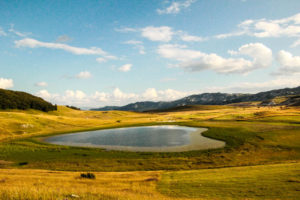 img-16743BF79794-D8A0-5084-2DC3-49EB60AC731B[1]