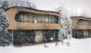 vila-x2-2505-5-snijeg1BFD0A24-AF0F-BD67-A231-58F8DA7C7662[1]