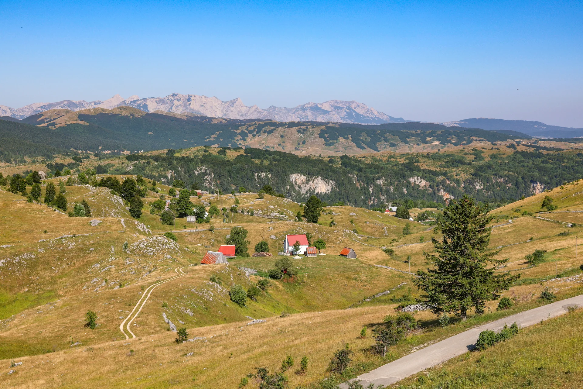 Zabljak and Durmitor mountains in summer with green meadows and blue skies